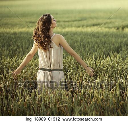 Attractive woman walking on the corn field View Large Photo Image Stock Image - Attractive woman walking on the corn field. Fotosearch