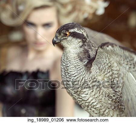 Stock Photograph - Blond lady with the wild falcon. Fotosearch