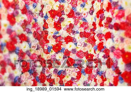 Picture - Carpet made of the colorful flowers and plants. Fotosearch