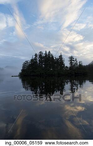 Evergreen Trees at coast, Skeena-Queen Charlotte Regional District, Haida Gwaii, Graham Island, British Columbia, Canada View Large Photo Image Stock Photo - Evergreen Trees at coast, Skeena-Queen Charlotte Regional District, Haida Gwaii, Graham Island, British Columbia, Canada. Fotosearch