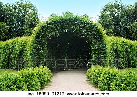 Fantastic fresh green garden View Large Photo Image Stock Photo - Fantastic fresh green garden. Fotosearch