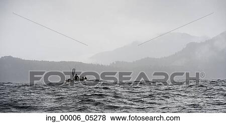 Fishing boat in the Pacific Ocean, Skeena-Queen Charlotte Regional District, Haida Gwaii, Graham Island, British Columbia, Canada View Large Photo Image Stock Photo - Fishing boat in the Pacific Ocean, Skeena-Queen Charlotte Regional District, Haida Gwaii, Graham Island, British Columbia, Canada. Fotosearch