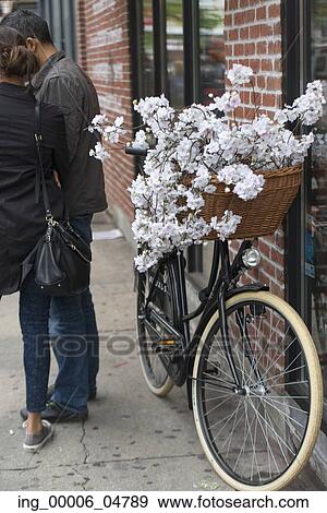 Flowers in bicycle basket, SoHo, Manhattan, New York City, New York State, USA View Large Photo Image Stock Photo - Flowers in bicycle basket, SoHo, Manhattan, New York City, New York State, USA. Fotosearch