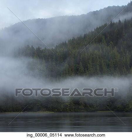 Fog at coast, Skeena-Queen Charlotte Regional District, Haida Gwaii, Graham Island, British Columbia, Canada View Large Photo Image Picture - Fog at coast, Skeena-Queen Charlotte Regional District, Haida Gwaii, Graham Island, British Columbia, Canada. Fotosearch
