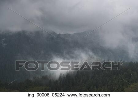 Fog over mountain, Skeena-Queen Charlotte Regional District, Haida Gwaii, Graham Island, British Columbia, Canada View Large Photo Image Picture - Fog over mountain, Skeena-Queen Charlotte Regional District, Haida Gwaii, Graham Island, British Columbia, Canada. Fotosearch