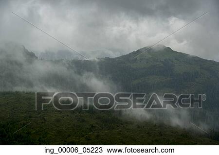 Fog over mountain, Skeena-Queen Charlotte Regional District, Haida Gwaii, Graham Island, British Columbia, Canada View Large Photo Image Stock Image - Fog over mountain, Skeena-Queen Charlotte Regional District, Haida Gwaii, Graham Island, British Columbia, Canada. Fotosearch