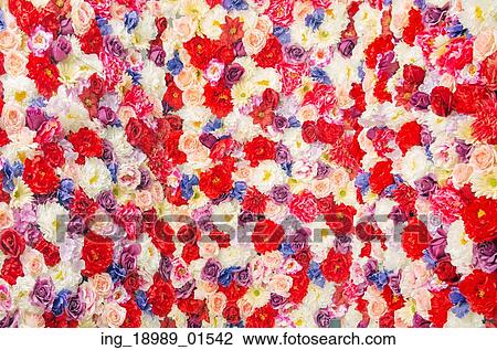 Giant bouquet of the colorful flowers and plants View Large Photo Image Stock Image - Giant bouquet of the colorful flowers and plants. Fotosearch