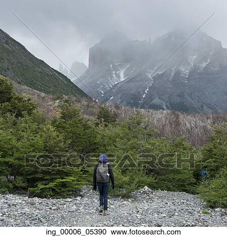 Hiker at W-Trek, Torres del Paine National Park, Patagonia, Chile View Large Photo Image Stock Image - Hiker at W-Trek, Torres del Paine National Park, Patagonia, Chile. Fotosearch