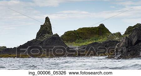 Island in the Pacific Ocean, Skeena-Queen Charlotte Regional District, Haida Gwaii, Graham Island, British Columbia, Canada View Large Photo Image Stock Photograph - Island in the Pacific Ocean, Skeena-Queen Charlotte Regional District, Haida Gwaii, Graham Island, British Columbia, Canada. Fotosearch