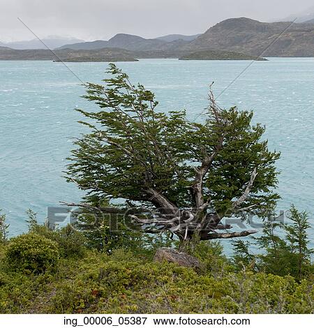 Stock Photo - Lake Pehoe, Torres del Paine National Park, Patagonia, Chile. Fotosearch