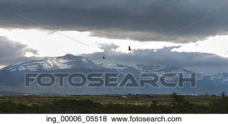 Landscape with mountain range in the background, Puerto Natales, Patagonia, Chile View Large Photo Image Stock Photo - Landscape with mountain range in the background, Puerto Natales, Patagonia, Chile. Fotosearch