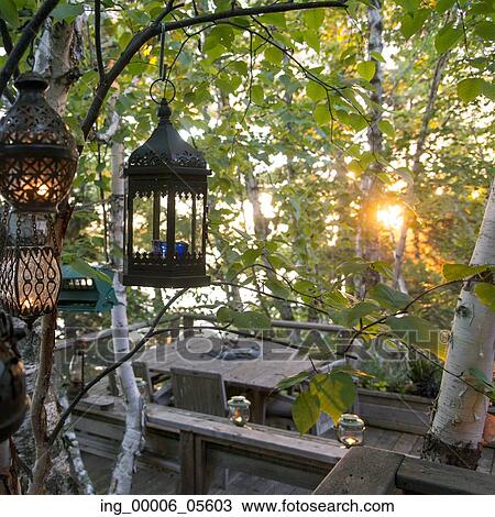 Lanterns hanging from a tree branch overlooking a deck, Lake Of The Woods, Ontario, Canada View Large Photo Image Stock Image - Lanterns hanging from a tree branch overlooking a deck, Lake Of The Woods, Ontario, Canada. Fotosearch