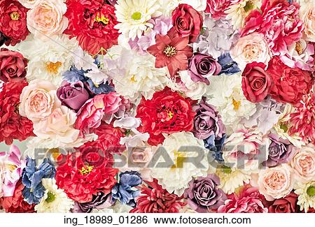 Lots of the colorful plants and flowers View Large Photo Image Stock Photograph - Lots of the colorful plants and flowers. Fotosearch