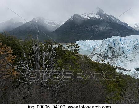 Perito Moreno Glacier, Lake Argentino, Los Glaciares National Park, Santa Cruz Province, Patagonia, Argentina View Large Photo Image Stock Photo - Perito Moreno Glacier, Lake Argentino, Los Glaciares National Park, Santa Cruz Province, Patagonia, Argentina. Fotosearch