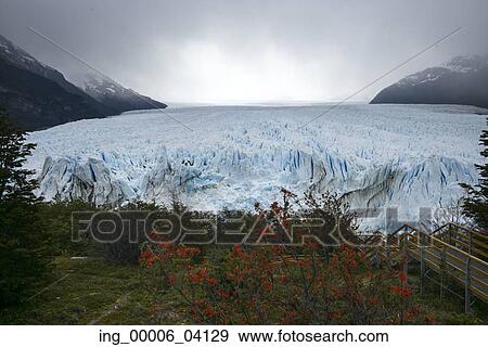 Perito Moreno Glacier, Lake Argentino, Los Glaciares National Park, Santa Cruz Province, Patagonia, Argentina View Large Photo Image Stock Photo - Perito Moreno Glacier, Lake Argentino, Los Glaciares National Park, Santa Cruz Province, Patagonia, Argentina. Fotosearch