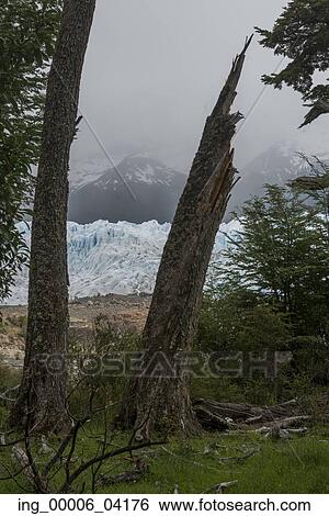 Stock Photograph - Perito Moreno Glacier, Lake Argentino, Los Glaciares National Park, Santa Cruz Province, Patagonia, Argentina. Fotosearch