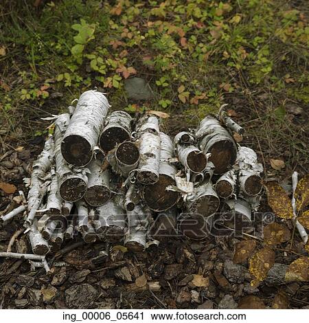 Stock Image - Pile of firewood, Lake Of The Woods, Ontario, Canada. Fotosearch