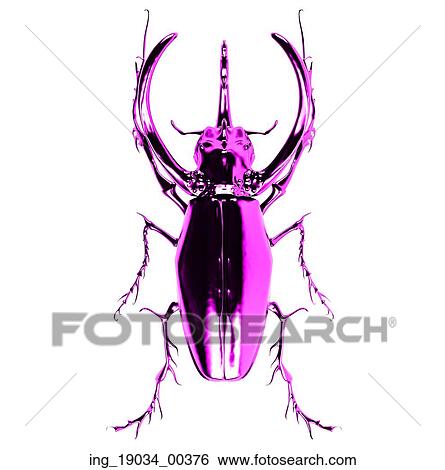 pink rhinoceros beetle. 3D rendering View Large Photo Image Stock Photograph - pink rhinoceros beetle. 3D rendering. Fotosearch