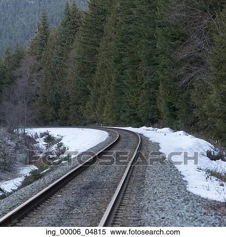 Railroad track passing through a forest, Whistler, British Columbia, Canada View Large Photo Image Stock Photography - Railroad track passing through a forest, Whistler, British Columbia, Canada. Fotosearch