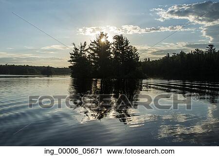 Reflection of trees on water at sunrise, Lake Of The Woods, Ontario, Canada View Large Photo Image Stock Image - Reflection of trees on water at sunrise, Lake Of The Woods, Ontario, Canada. Fotosearch