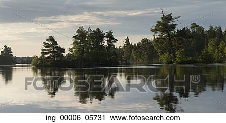 Reflection of trees on water, Lake of the Woods, Ontario, Canada View Large Photo Image Stock Image - Reflection of trees on water, Lake of the Woods, Ontario, Canada. Fotosearch