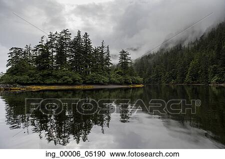 Reflection of trees on water, Skeena-Queen Charlotte Regional District, Haida Gwaii, Graham Island, British Columbia, Canada View Large Photo Image Stock Image - Reflection of trees on water, Skeena-Queen Charlotte Regional District, Haida Gwaii, Graham Island, British Columbia, Canada. Fotosearch
