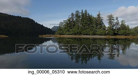 Reflection of trees on water, Skeena-Queen Charlotte Regional District, Haida Gwaii, Graham Island, British Columbia, Canada View Large Photo Image Stock Image - Reflection of trees on water, Skeena-Queen Charlotte Regional District, Haida Gwaii, Graham Island, British Columbia, Canada. Fotosearch