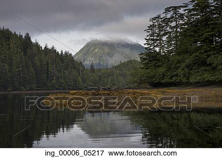 Reflection of trees on water, Skeena-Queen Charlotte Regional District, Haida Gwaii, Graham Island, British Columbia, Canada View Large Photo Image Stock Photo - Reflection of trees on water, Skeena-Queen Charlotte Regional District, Haida Gwaii, Graham Island, British Columbia, Canada. Fotosearch
