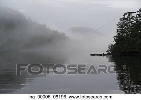 Reflection of trees on water, Skeena-Queen Charlotte Regional District, Haida Gwaii, Graham Island, British Columbia, Canada View Large Photo Image Stock Photograph - Reflection of trees on water, Skeena-Queen Charlotte Regional District, Haida Gwaii, Graham Island, British Columbia, Canada. Fotosearch