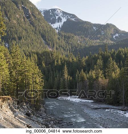 River flowing through a forest, Whistler, British Columbia, Canada View Large Photo Image Picture - River flowing through a forest, Whistler, British Columbia, Canada. Fotosearch