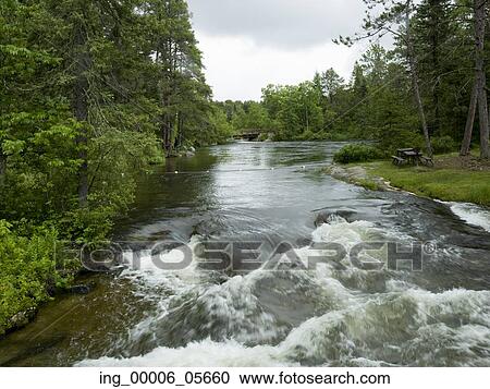 Stock Image - River flowing through a forest, Rushing River Provincial Park, Ontario, Canada. Fotosearch