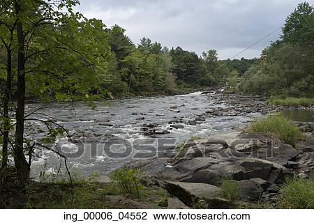 Stock Image - River flowing through a forest, Plaisance Falls, Petite-Nation River, Quebec, Canada. Fotosearch