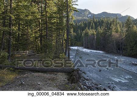 River flowing through forest, Nairn Falls Provincial Park, Whistler, British Columbia, Canada View Large Photo Image Picture - River flowing through forest, Nairn Falls Provincial Park, Whistler, British Columbia, Canada. Fotosearch