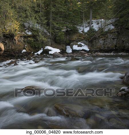 Stock Image - River flowing through forest, Whistler, British Columbia, Canada. Fotosearch