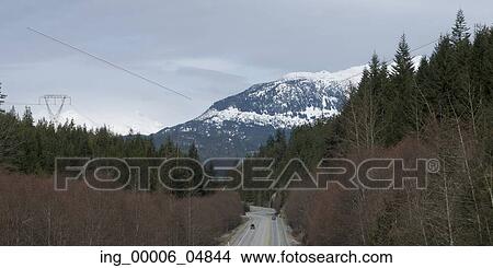 Picture - Road through forest, Whistler, British Columbia, Canada. Fotosearch