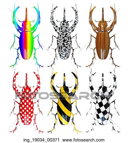 set of different pattern colored beetles View Large Photo Image Stock Image - set of different pattern colored beetles. Fotosearch