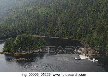 Sikorsky helicopter flying over a lake, Skeena-Queen Charlotte Regional District, Haida Gwaii, Graham Island, British Columbia, Canada View Large Photo Image Stock Photograph - Sikorsky helicopter flying over a lake, Skeena-Queen Charlotte Regional District, Haida Gwaii, Graham Island, British Columbia, Canada. Fotosearch