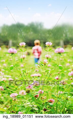Stock Image - Small boy playing on a summer meadow. Fotosearch