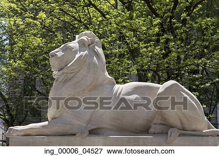 Stock Photo - Statue of lion at New York Public Library, Midtown, Manhattan, New York City, New York State, USA. Fotosearch