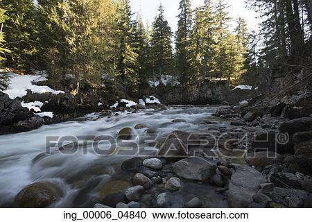Stock Image - Stream flowing through rocks, Whistler, British Columbia, Canada. Fotosearch
