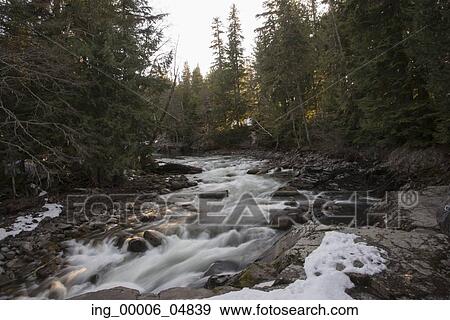 Stream flowing through rocks, Whistler, British Columbia, Canada View Large Photo Image Stock Photo - Stream flowing through rocks, Whistler, British Columbia, Canada. Fotosearch