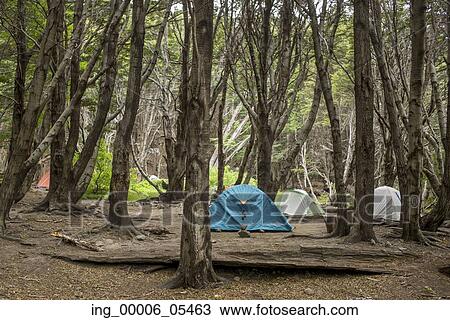 Tents at campsite in forest, French Valley, Torres del Paine National Park, Patagonia, Chile View Large Photo Image Stock Image - Tents at campsite in forest, French Valley, Torres del Paine National Park, Patagonia, Chile. Fotosearch