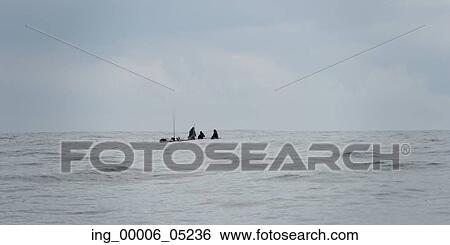 Tourist fishing in the Pacific Ocean, Skeena-Queen Charlotte Regional District, Haida Gwaii, Graham Island, British Columbia, Canada View Large Photo Image Stock Photograph - Tourist fishing in the Pacific Ocean, Skeena-Queen Charlotte Regional District, Haida Gwaii, Graham Island, British Columbia, Canada. Fotosearch
