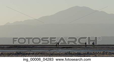 Tourists at Chaxa Lagoon, Los Flamencos National Reserve, San Pedro de Atacama, El Loa Province, Antofagasta Region, Chile View Large Photo Image Stock Image - Tourists at Chaxa Lagoon, Los Flamencos National Reserve, San Pedro de Atacama, El Loa Province, Antofagasta Region, Chile. Fotosearch
