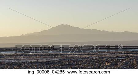 Tourists at Chaxa Lagoon, Los Flamencos National Reserve, San Pedro de Atacama, El Loa Province, Antofagasta Region, Chile View Large Photo Image Stock Photography - Tourists at Chaxa Lagoon, Los Flamencos National Reserve, San Pedro de Atacama, El Loa Province, Antofagasta Region, Chile. Fotosearch