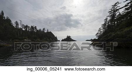 Trees along coastline, Skeena-Queen Charlotte Regional District, Haida Gwaii, Graham Island, British Columbia, Canada View Large Photo Image Stock Image - Trees along coastline, Skeena-Queen Charlotte Regional District, Haida Gwaii, Graham Island, British Columbia, Canada. Fotosearch