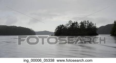 Trees at coast, Skeena-Queen Charlotte Regional District, Haida Gwaii, Graham Island, British Columbia, Canada View Large Photo Image Stock Photo - Trees at coast, Skeena-Queen Charlotte Regional District, Haida Gwaii, Graham Island, British Columbia, Canada. Fotosearch