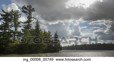 Stock Photo - Trees at the lakeside with flakes of snow falling, Lake Of The Woods, Ontario, Canada. Fotosearch