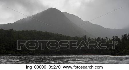 Stock Image - Trees in a forest with mountain the background, Skeena-Queen Charlotte Regional District, Haida Gwaii, Graham Island, British Columbia, Canada. Fotosearch