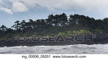 Trees on an island, Skeena-Queen Charlotte Regional District, Haida Gwaii, Graham Island, British Columbia, Canada View Large Photo Image Stock Image - Trees on an island, Skeena-Queen Charlotte Regional District, Haida Gwaii, Graham Island, British Columbia, Canada. Fotosearch